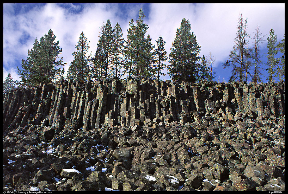 Basalt columns. Yellowstone National Park, Wyoming, USA.