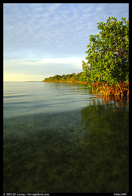 Elliott Key shore on Biscayne Bay, sunset. Biscayne National Park, Florida, USA.