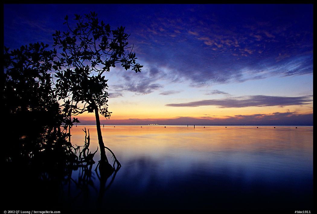 Sunset on Biscaye Bay from Elliott Key. Biscayne National Park, Florida, USA.