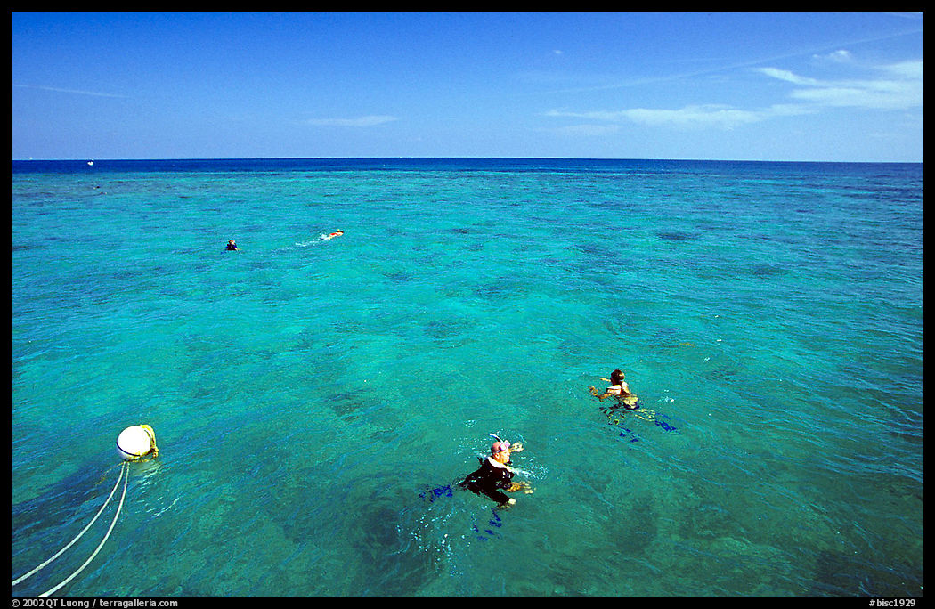 Snorklers. Biscayne National Park, Florida, USA.