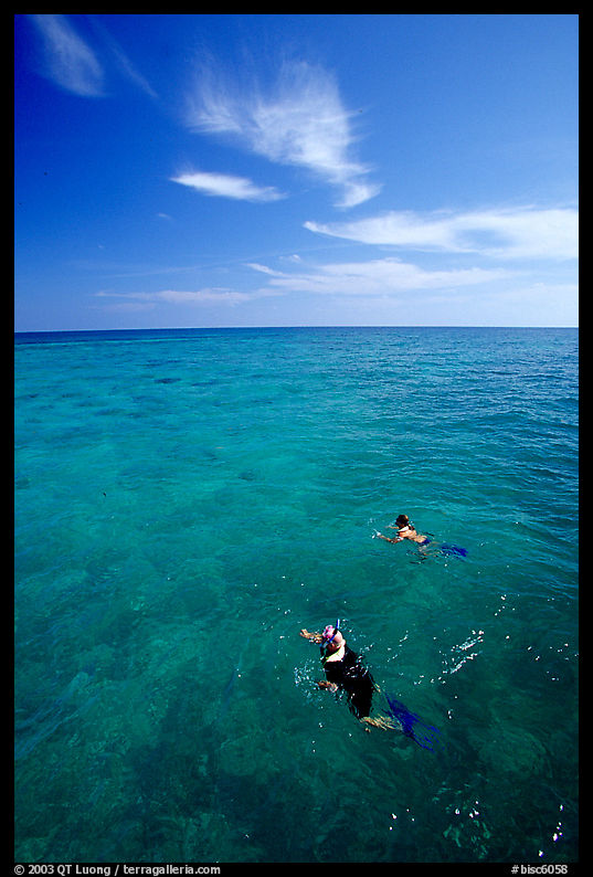 Snorkelers over a coral reef. Biscayne National Park, Florida, USA.
