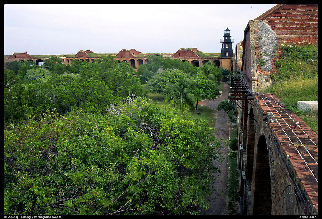 Trees in Fort Jefferson courtyard. Dry Tortugas  National Park, Florida, USA.