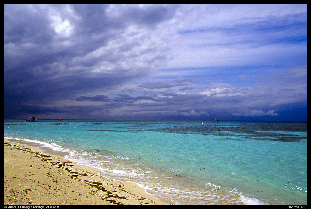 Beach and turquoise waters, Garden Key. Dry Tortugas  National Park, Florida, USA.