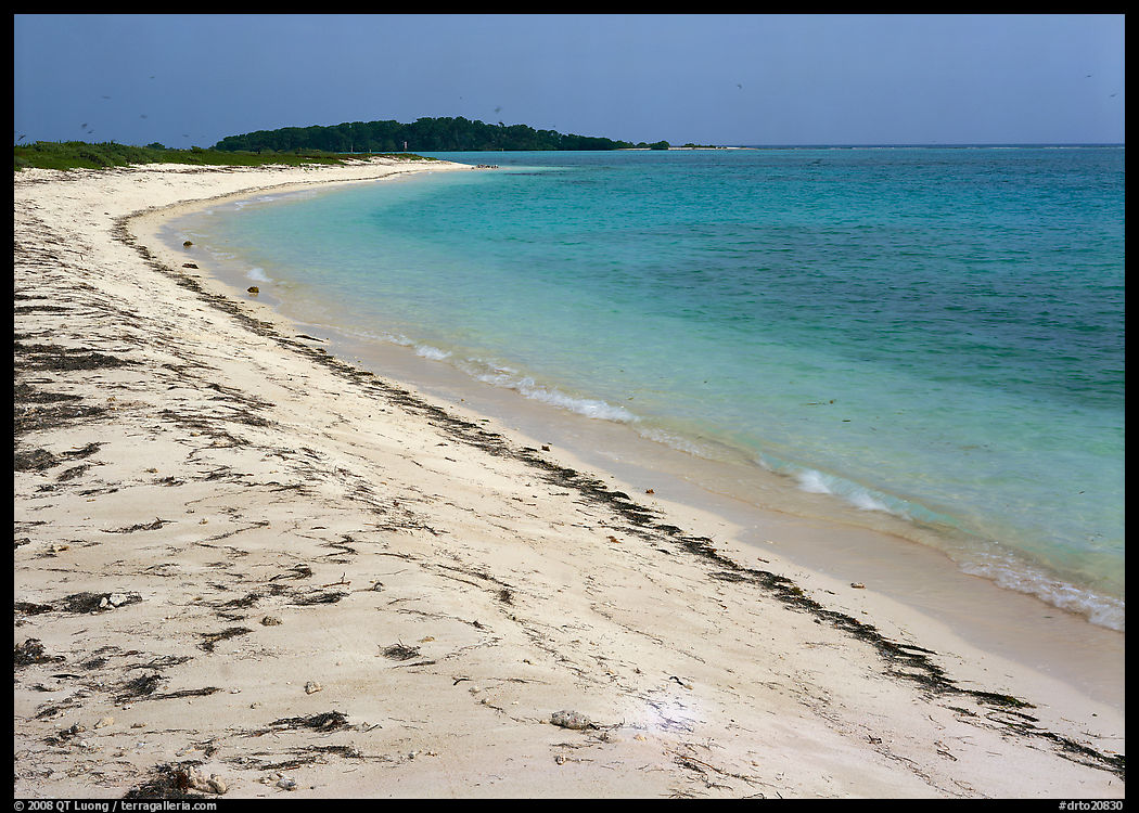 Beach on Bush Key with beached seaweed. Dry Tortugas  National Park, Florida, USA.