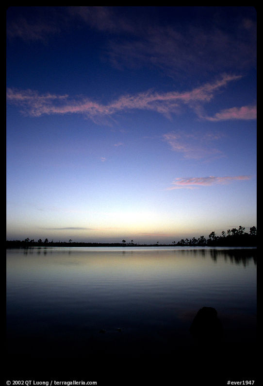 Sky and Pine Glades Lake, dusk. Everglades  National Park, Florida, USA.