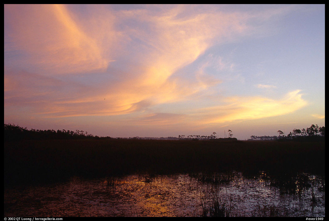 Dawn on marsh and sawgrass prairie. Everglades  National Park, Florida, USA.
