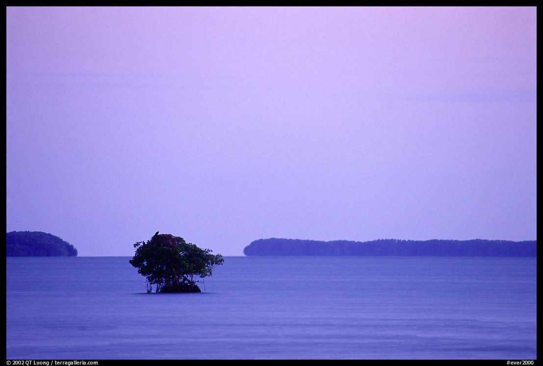 Mangroves and low islands in Florida Bay, dusk. Everglades  National Park, Florida, USA.