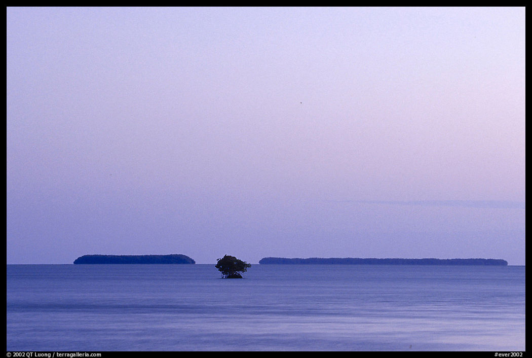 Florida Bay and Mangrove islands, dusk. Everglades  National Park, Florida, USA.