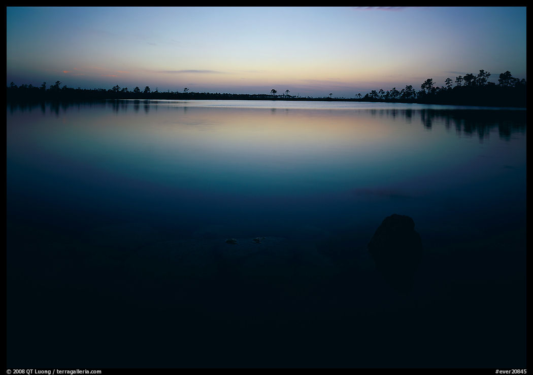 Pine Glades Lake, dusk. Everglades  National Park, Florida, USA.