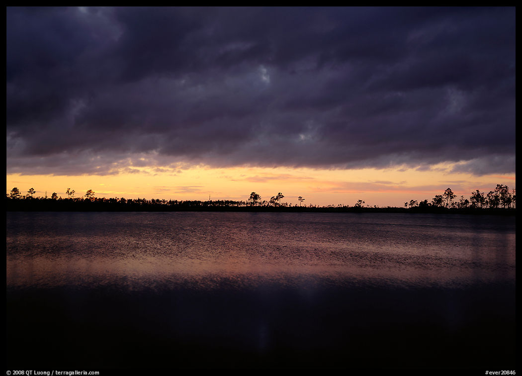 Sunset with dark clouds,  Pine Glades Lake. Everglades  National Park, Florida, USA.