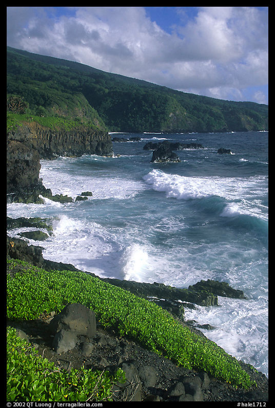 Seascape with waves and coastline, and cliffs,  Kipahulu. Haleakala National Park