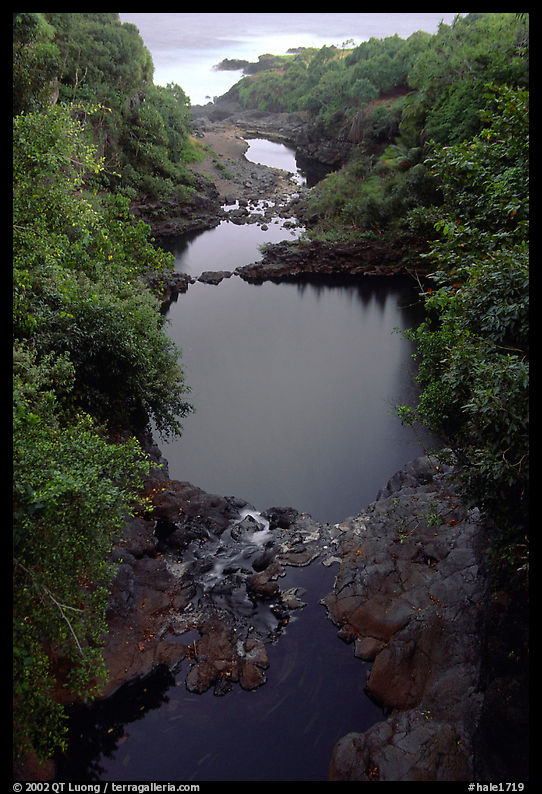 Oho o Stream on its way to the ocean forms Seven sacred pools. Haleakala National Park, Hawaii, USA.