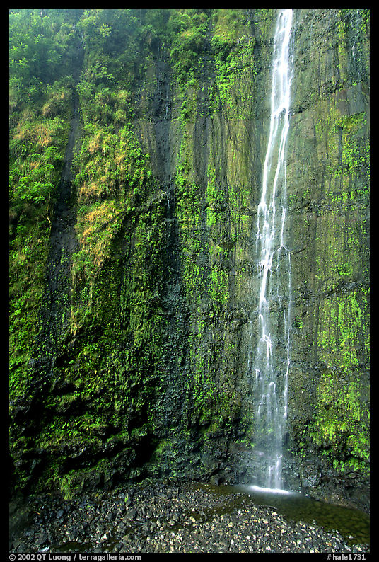 Waimoku Falls, more than 300 feet high. Haleakala National Park, Hawaii, USA.