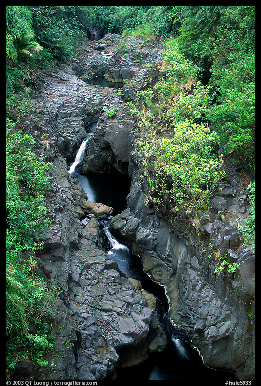 Gorge carved by Ohe o stream. Haleakala National Park, Hawaii, USA.
