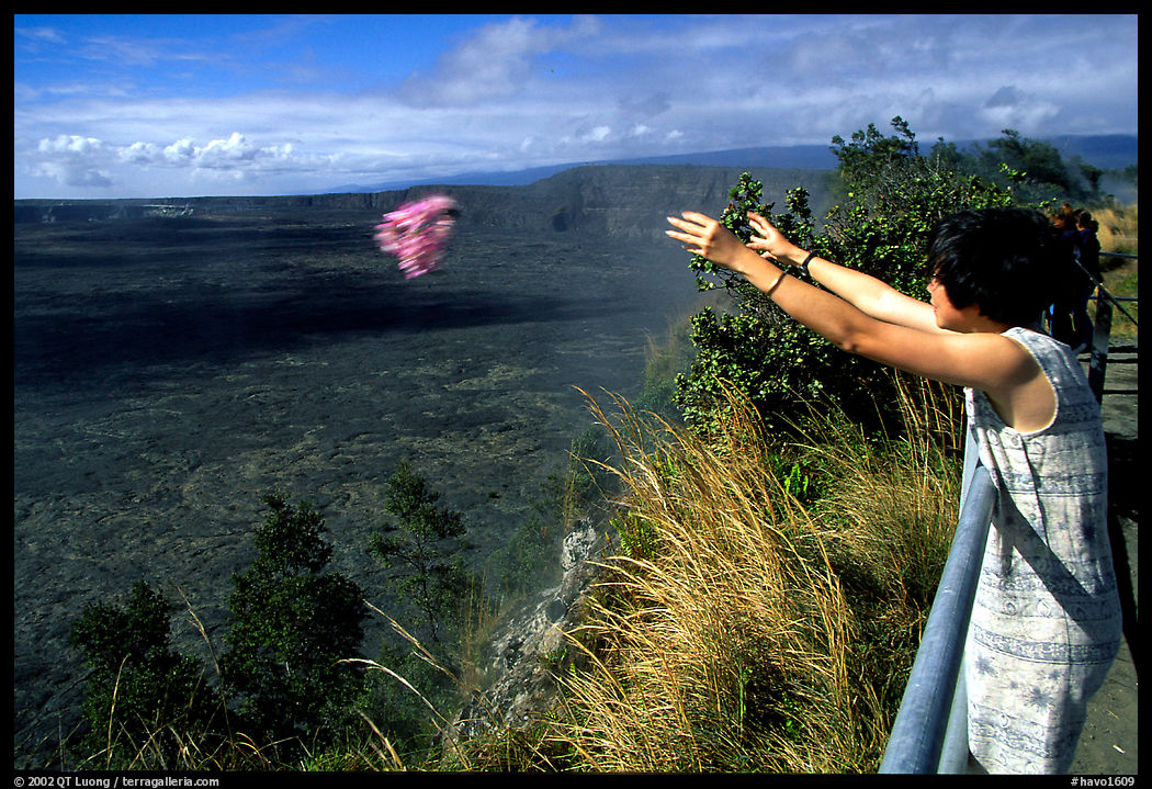 Visitor throws flowers into Kilauea caldera as offering to Pele. Hawaii Volcanoes National Park, Hawaii, USA.