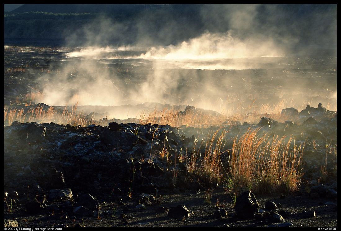 Fumeroles and lava near Halemaumau. Hawaii Volcanoes National Park, Hawaii, USA.
