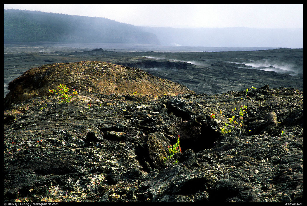 Volcanic landscape of lava field near Mauna Ulu crater. Hawaii Volcanoes National Park, Hawaii, USA.