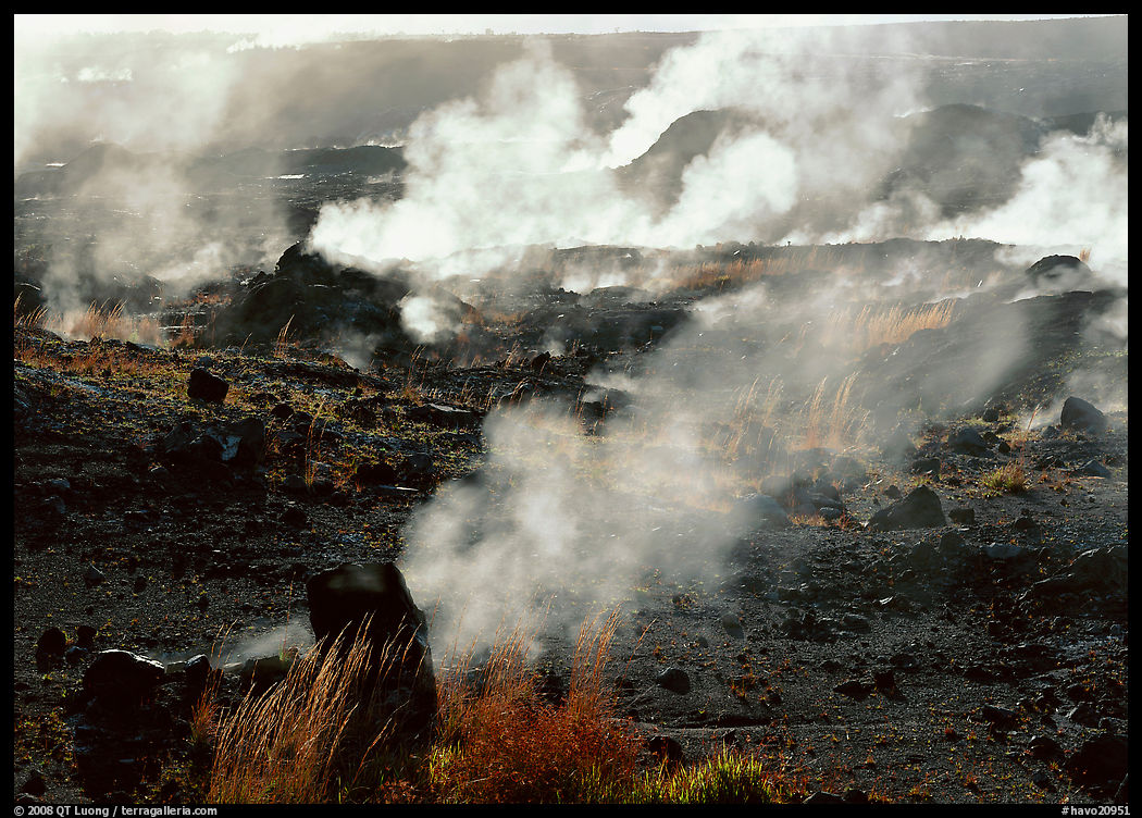 Fumeroles on the rim of Halemaumau crater. Hawaii Volcanoes National Park, Hawaii, USA.
