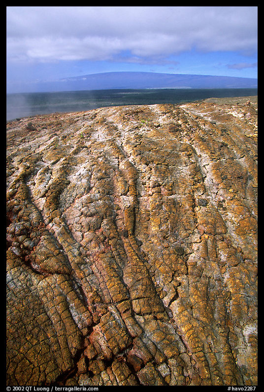 Recent lava crust on Mauna Ulu crater. Hawaii Volcanoes National Park, Hawaii, USA.