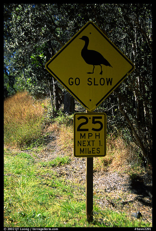 Road sign showing the nene (Hawaiian goose). Hawaii Volcanoes National Park, Hawaii, USA.