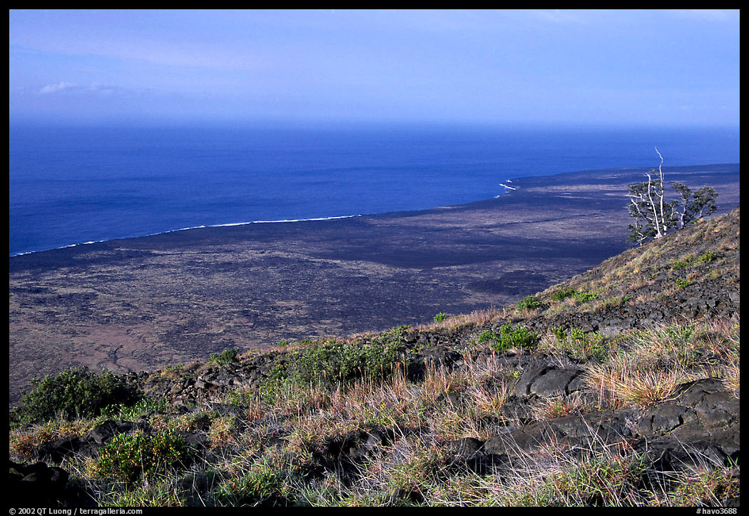 View of the coastal plain from Hilana Pali. Hawaii Volcanoes National Park