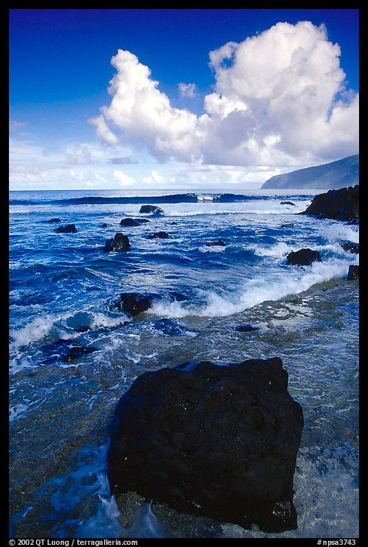 Coastline and boulders, Siu Point, morning, Tau Island. National Park of American Samoa