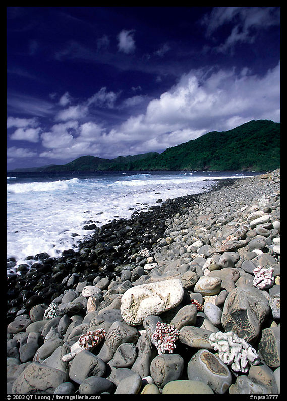 Coral heads on beach and dark hills, Tutuila Island. National Park of American Samoa