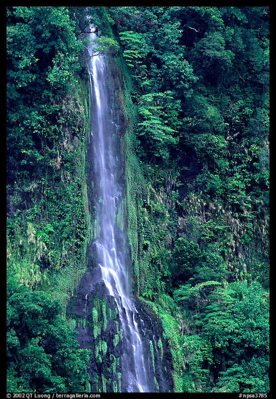 Ephemeral waterfall formed after the rain, Tutuila Island. National Park of American Samoa