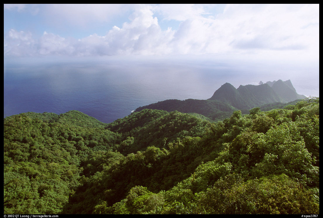 Tropical forest and Ocean from Mont Alava, Tutuila Island. National Park of American Samoa