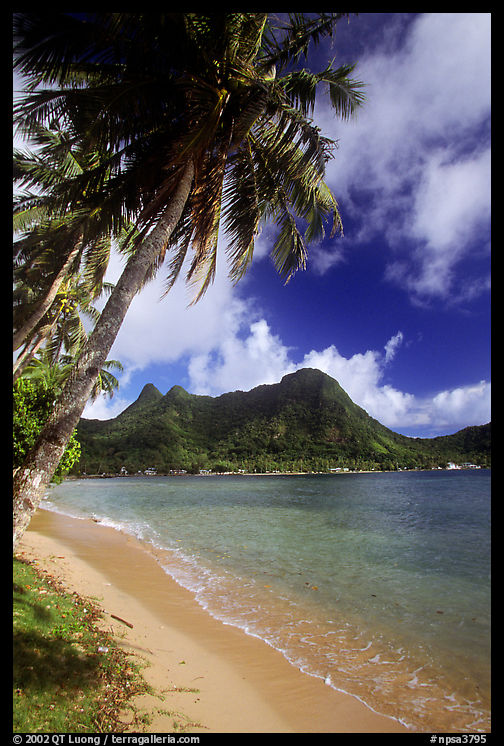 Palm-fringed beach in Vatia Bay, Tutuila Island. National Park of American Samoa