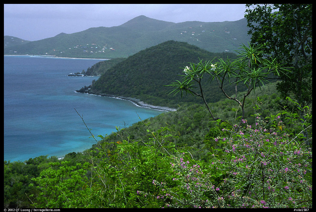 Hurricane Hole. Virgin Islands National Park, US Virgin Islands.