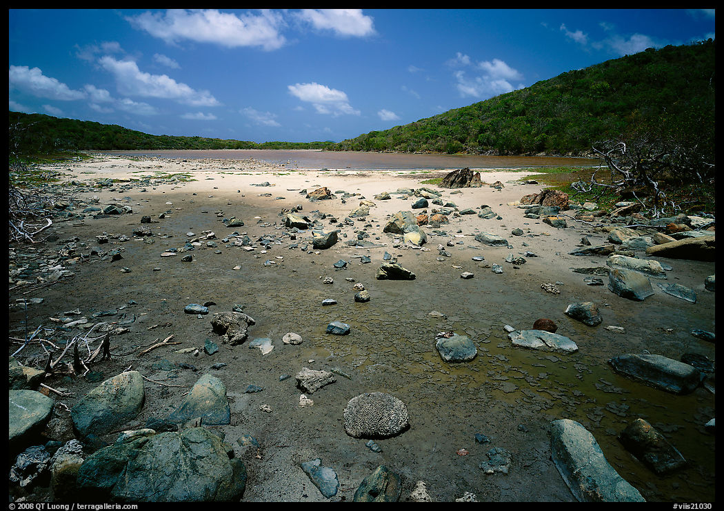 Salt Pond. Virgin Islands National Park, US Virgin Islands.