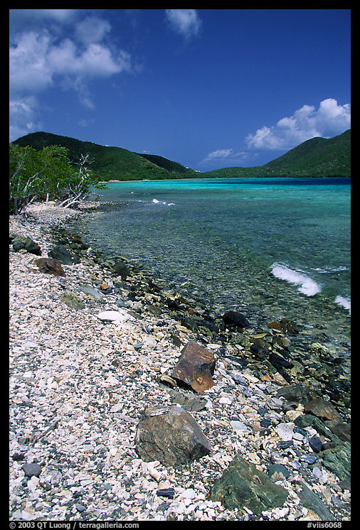 Shore and Turquoise waters, Leinster Bay. Virgin Islands National Park, US Virgin Islands.