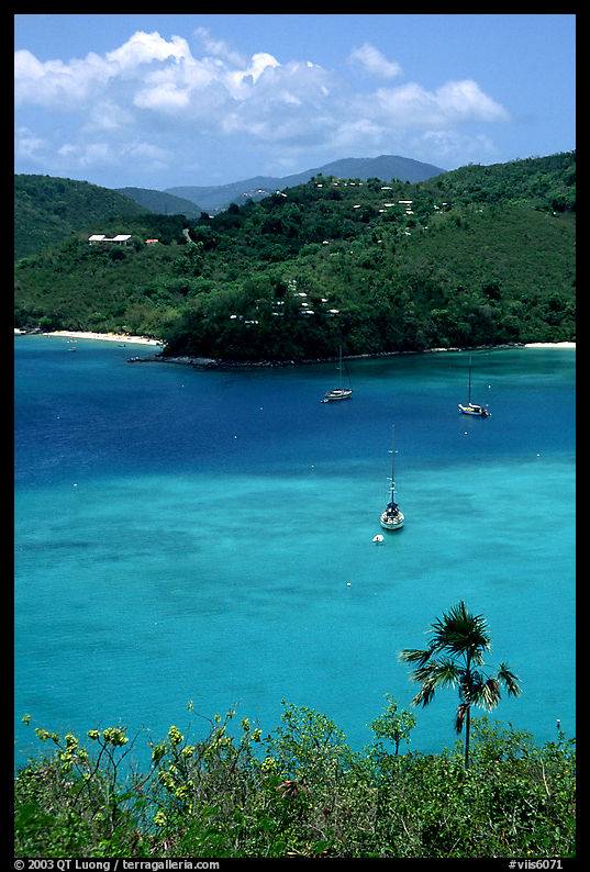 Tropical anchorage, Francis Bay. Virgin Islands National Park, US Virgin Islands.