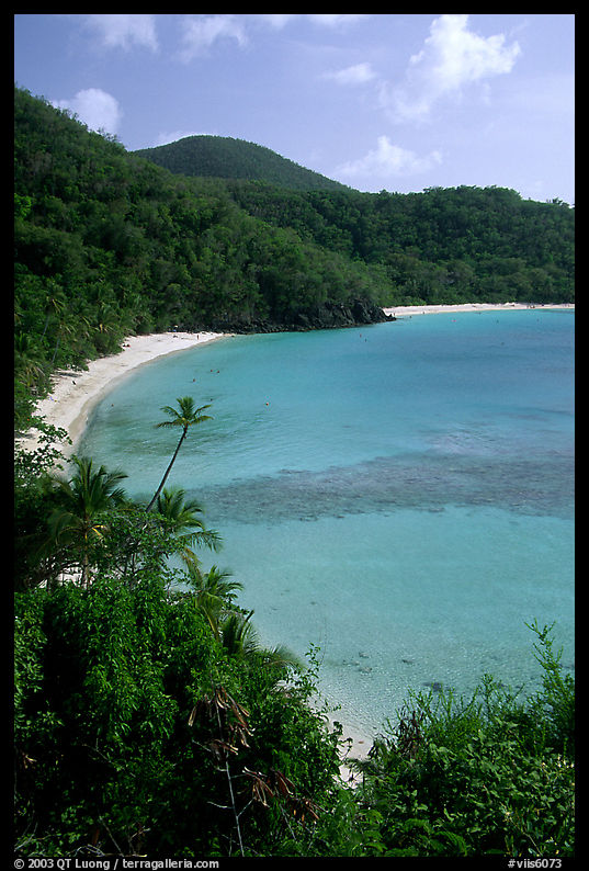 Tropical hills and beach, Hawksnest Bay. Virgin Islands National Park, US Virgin Islands.