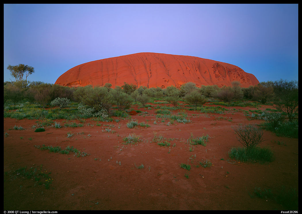 Ayers Rock at dawn. Uluru-Kata Tjuta National Park, Northern Territories, Australia