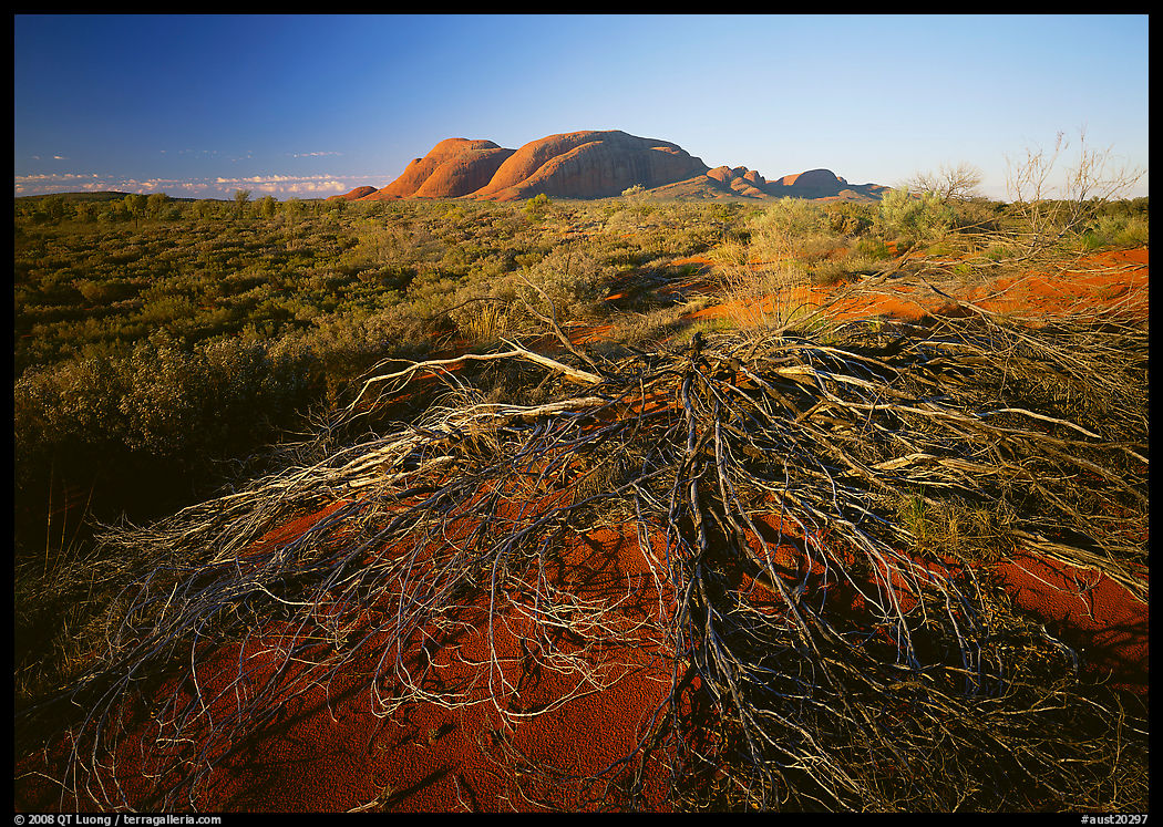 Olgas, late afternoon. Olgas, Uluru-Kata Tjuta National Park, Northern Territories, Australia