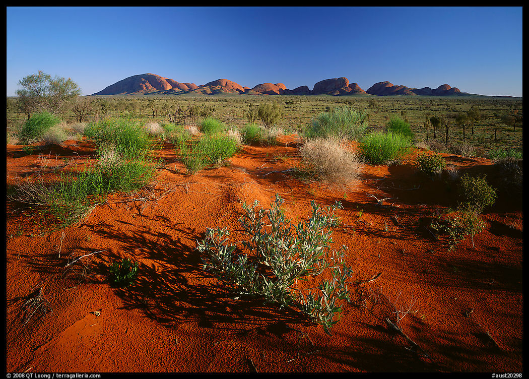 Pink sand dunes and Olgas. Olgas, Uluru-Kata Tjuta National Park, Northern Territories, Australia