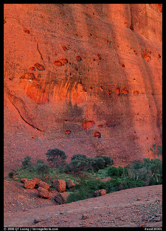 Rock wall, the Olgas. Olgas, Uluru-Kata Tjuta National Park, Northern Territories, Australia