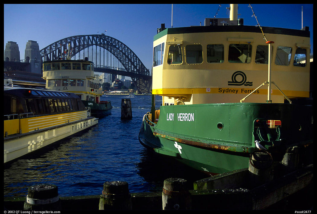 Ferries with Harbor bridge in the background. Sydney, New South Wales, Australia