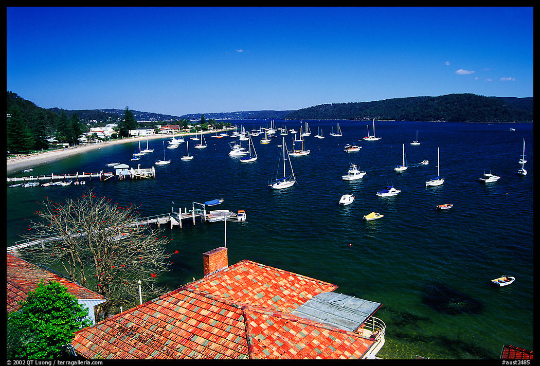 Yatchs anchored in the outskirts of the city. Sydney, New South Wales, Australia