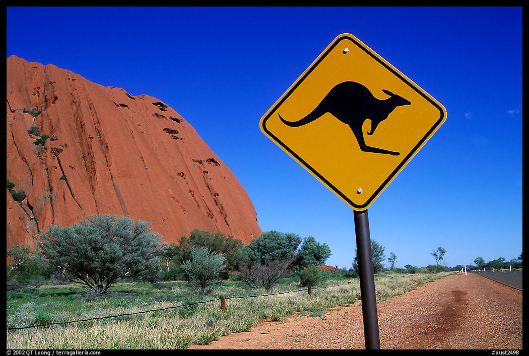 Kangaroo crossing sign near Ayers Rock. Australia