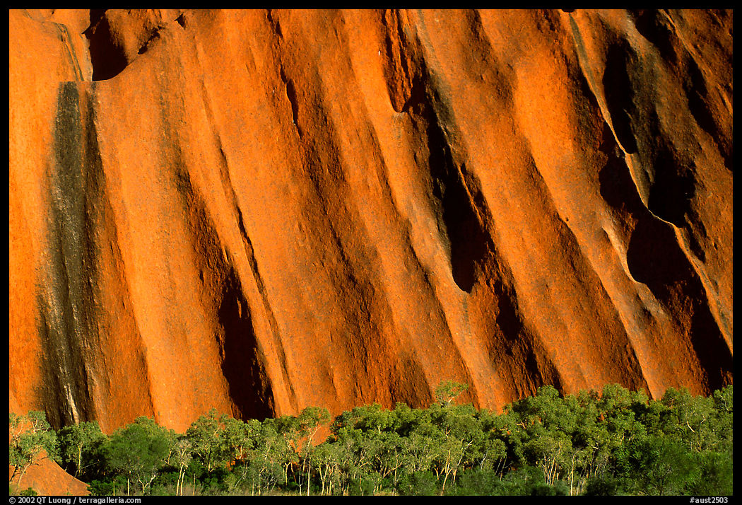 Walls of Ayers Rock. Uluru-Kata Tjuta National Park, Northern Territories, Australia