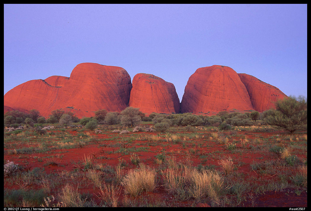 Olgas, dusk. Olgas, Uluru-Kata Tjuta National Park, Northern Territories, Australia