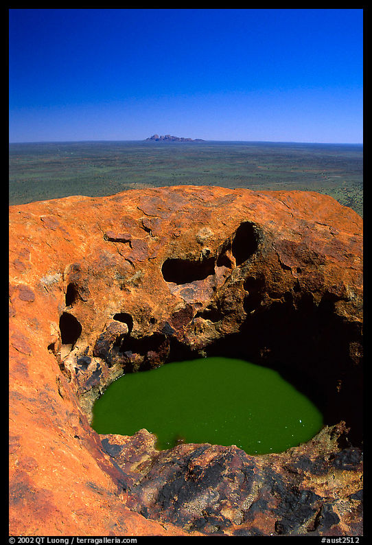 Green pool on Ayers Rock, Olgas in a distance. Uluru-Kata Tjuta National Park, Northern Territories, Australia