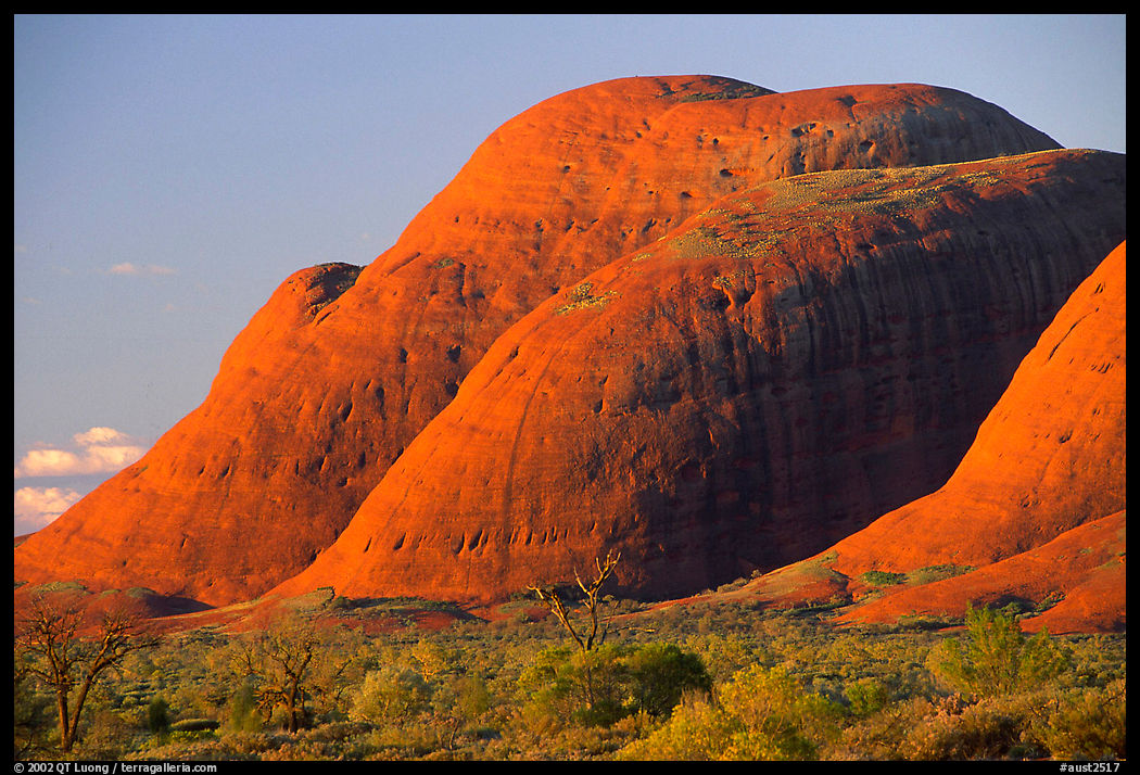 Olgas, sunset. Olgas, Uluru-Kata Tjuta National Park, Northern Territories, Australia