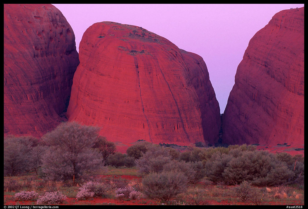 Olgas, dusk. Olgas, Uluru-Kata Tjuta National Park, Northern Territories, Australia