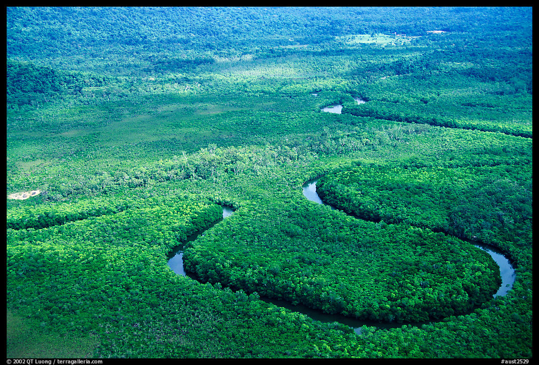 Aerial meandering river in rainforest near Cape Tribulation. Queensland, Australia