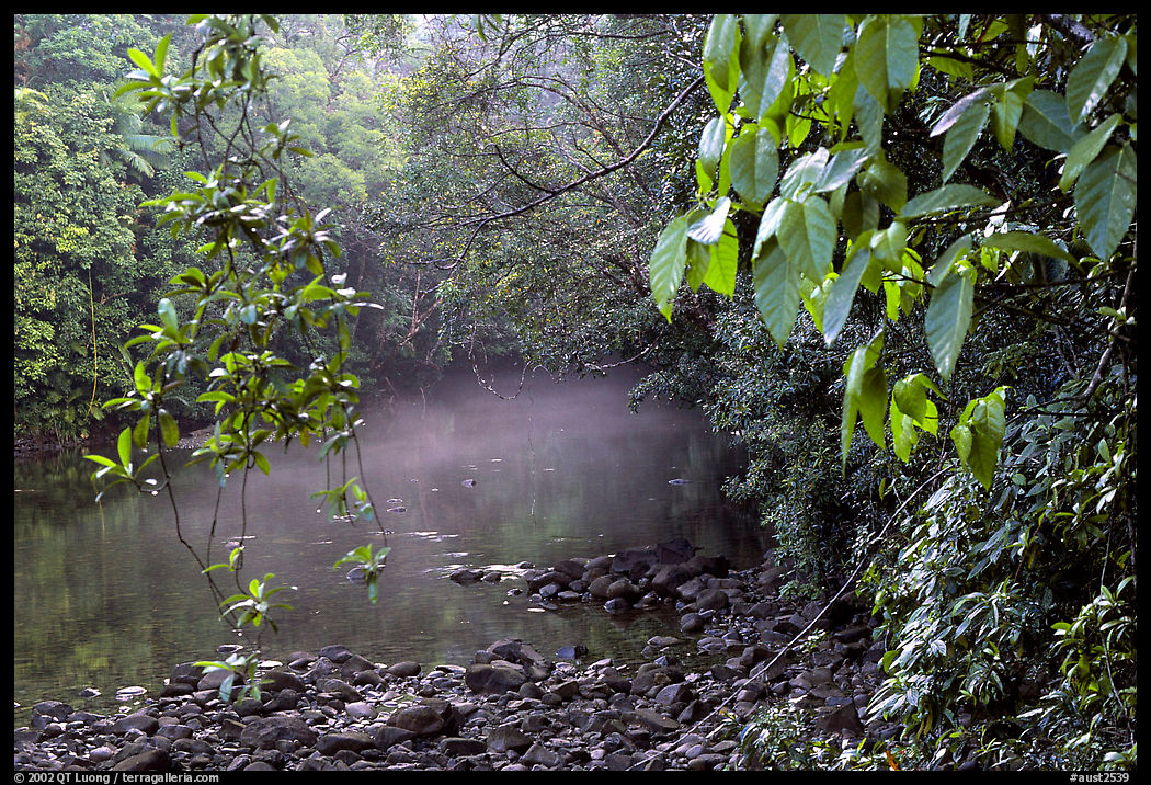 River with mist raising, Cape Tribulation. Queensland, Australia