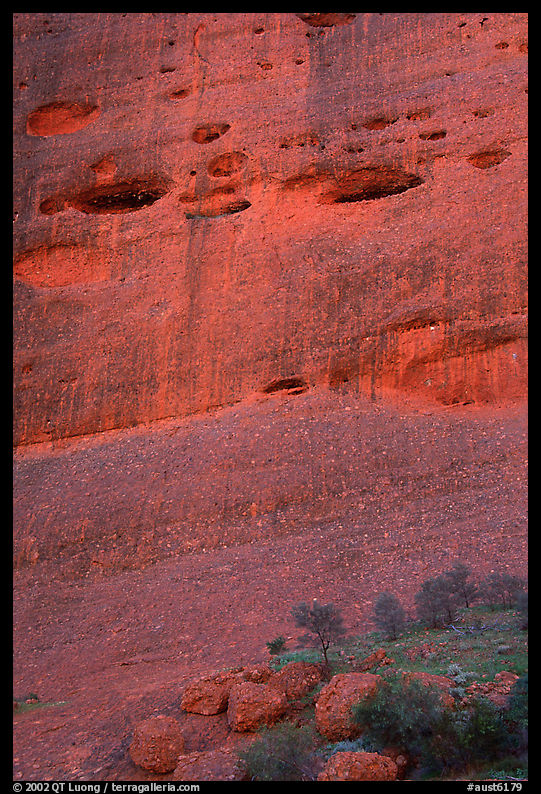 Detail of rock wall of the Olgas. Olgas, Uluru-Kata Tjuta National Park, Northern Territories, Australia